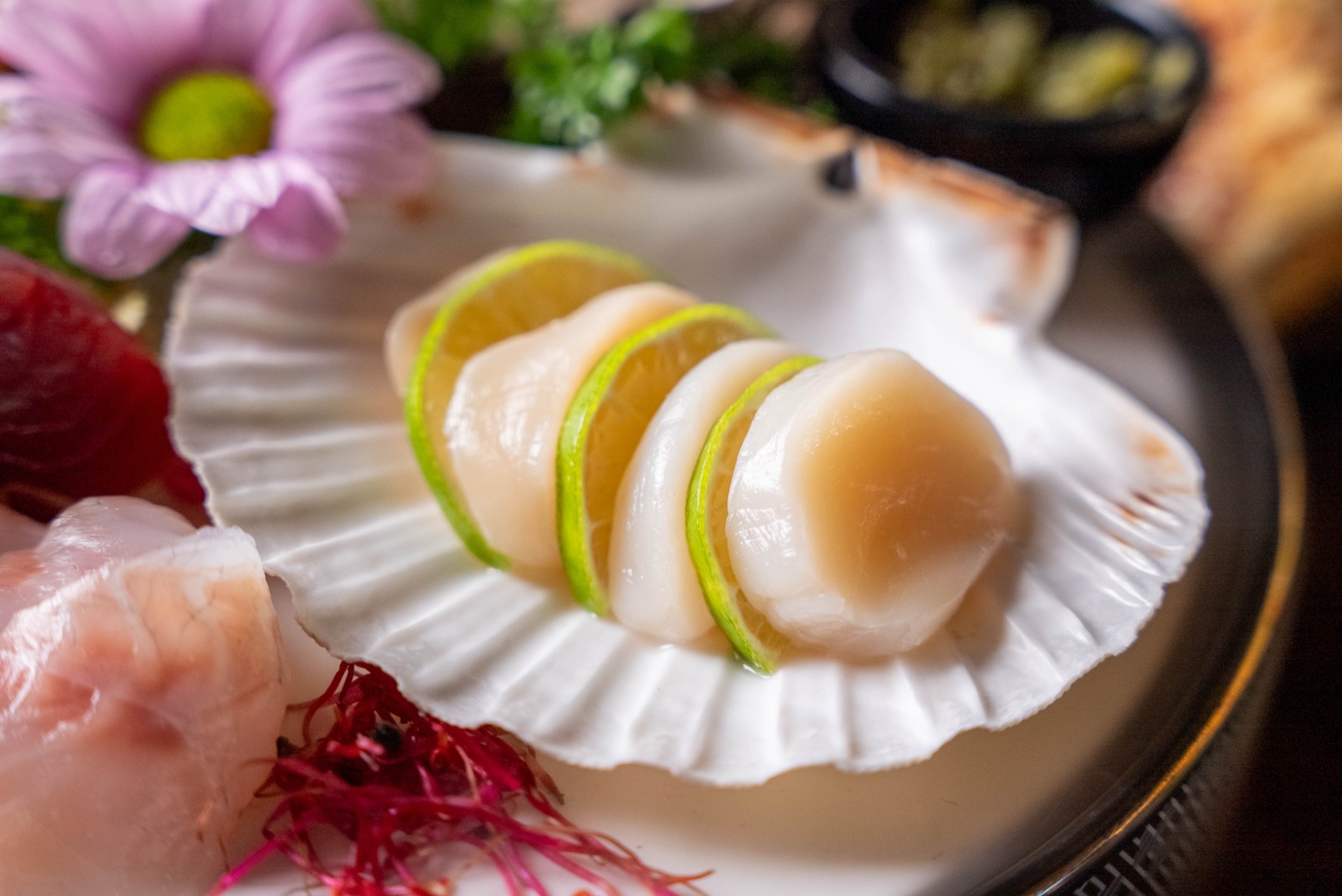 Coquille